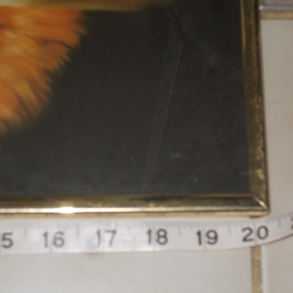 Vintage Indian Chief in gold metal frame - Picture 3 of 6